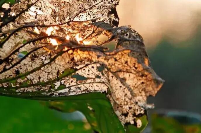 养生发朋友圈文案