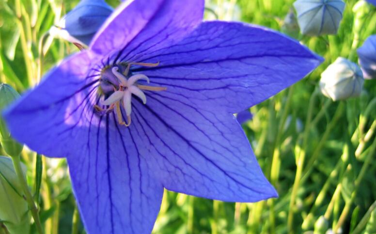 励志早上好文案