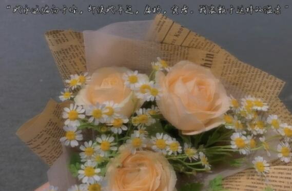 送妈妈花搞笑文案