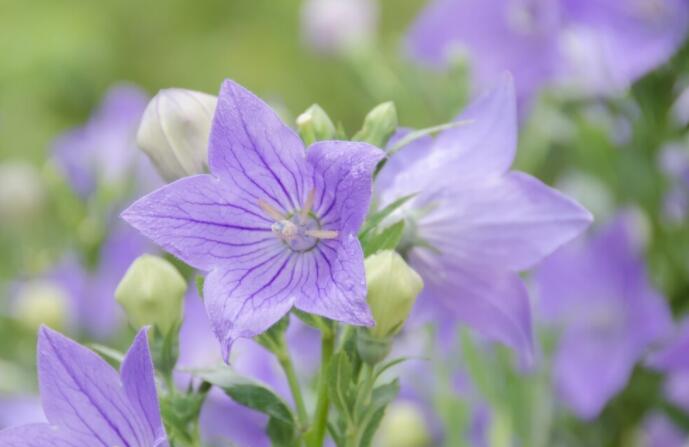 励志早上好文案