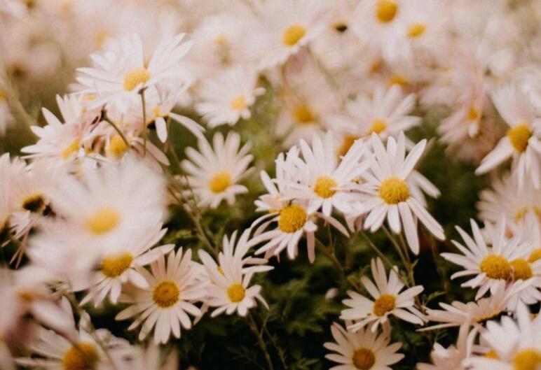 感恩身边人的文案