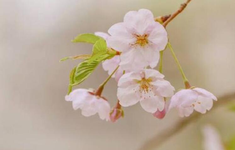 带孩子春游的文案