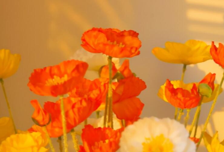 无关爱情的文案