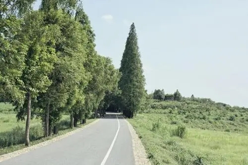 深夜文案短句干净治愈