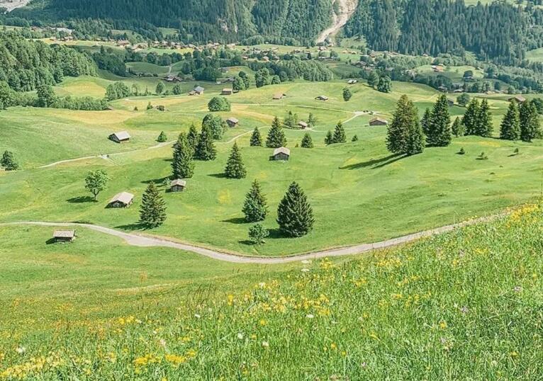 抖音2022年最新文案春天