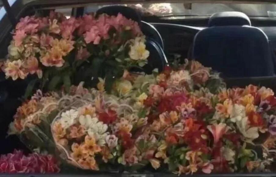 网易云情感文案