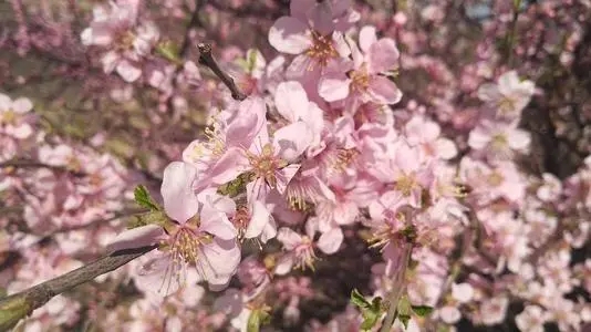 分享美好的朋友圈文案