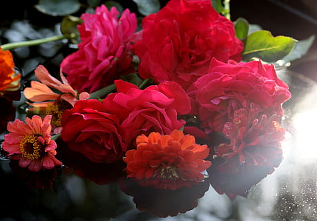 婚礼邀请发朋友圈文案