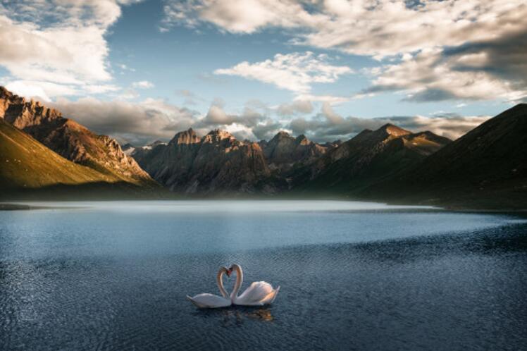 网红打卡地营销文案