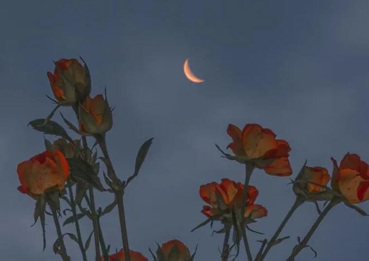 能写进作文里的神仙文案