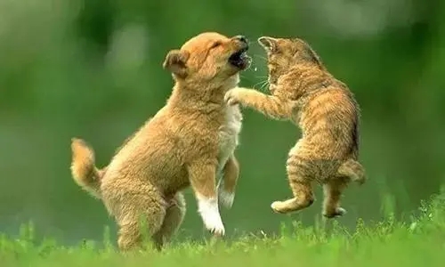 和好朋友玩的快乐文案