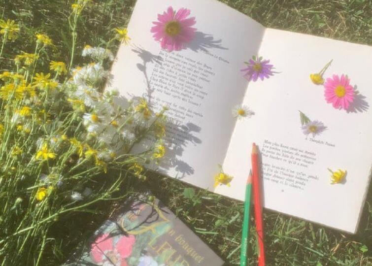 朋友圈火的文案