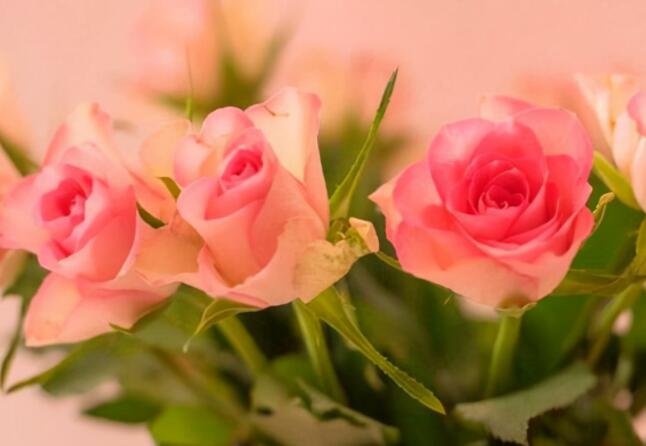 一个人难受的文案