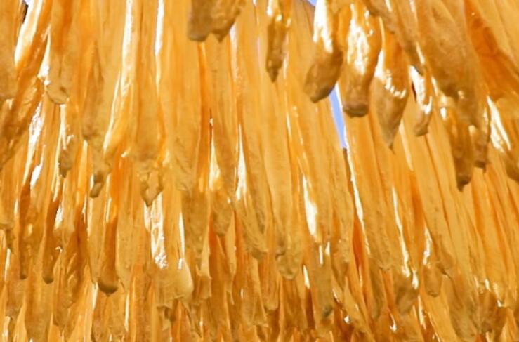 关于腐竹的文案