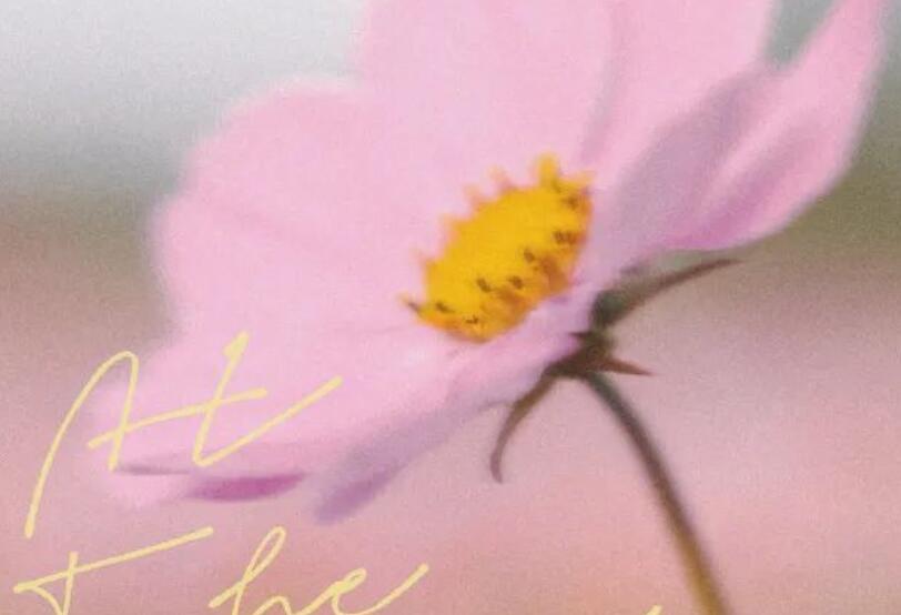 看花的抖音文案