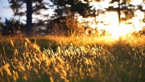 清晨的阳光朋友圈文案