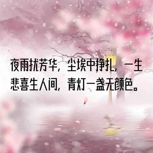 好听的文案句子古风