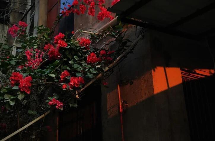 好友揉了揉我的文案