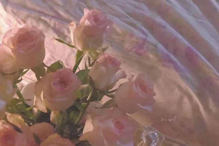 开启夏天的文案