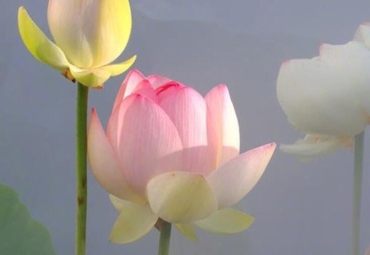 比较温馨的文案