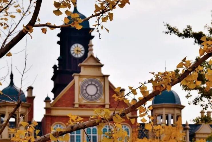 朋友圈今日开心文案