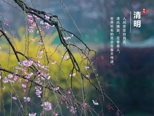 清明节旅游文案