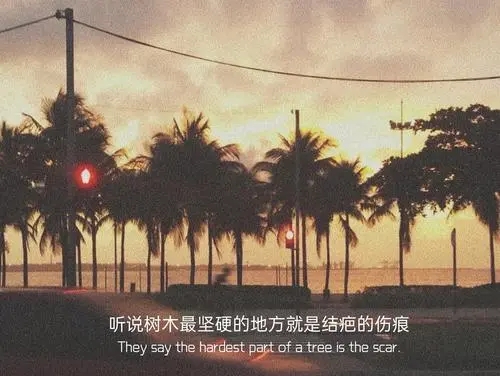 小众高级朋友圈文案