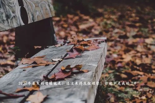 笔底知交锦史文案