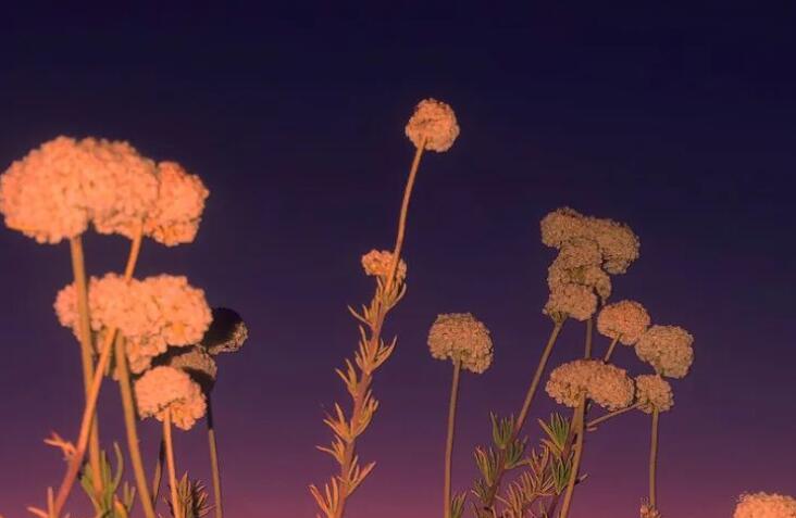 开车等红绿灯文案