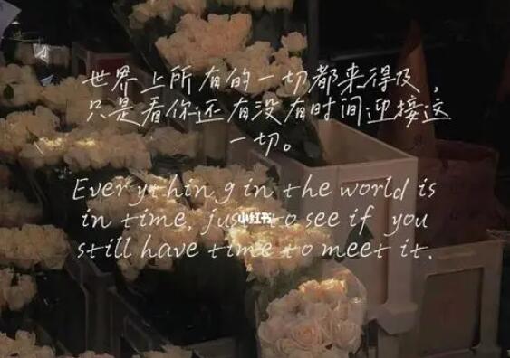 温柔到爆的神仙表白文案