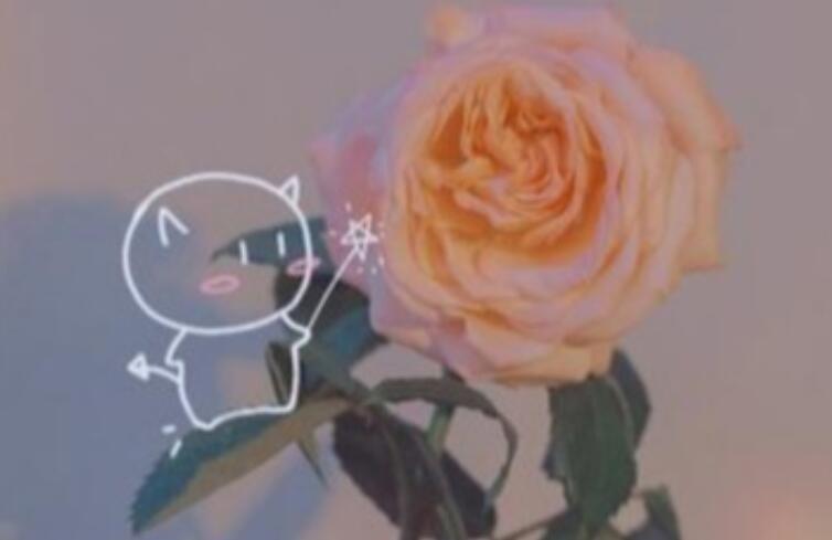 搬宿舍朋友圈文案