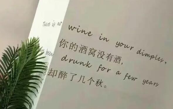 高冷的文案短句子