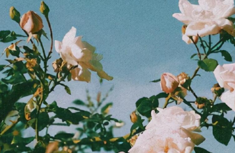 形容一个人恶心到极点的文案