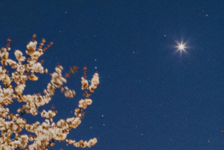 男生简短朋友圈文案