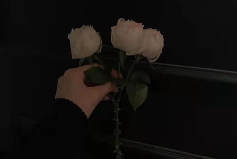 晚上伤感的朋友圈文案