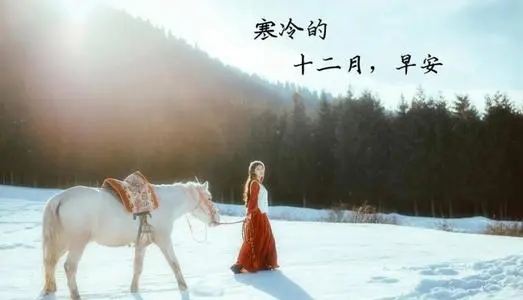 12月发朋友圈的文案