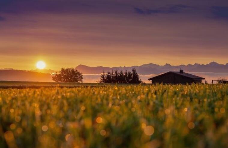 好听的摄影作品的文案