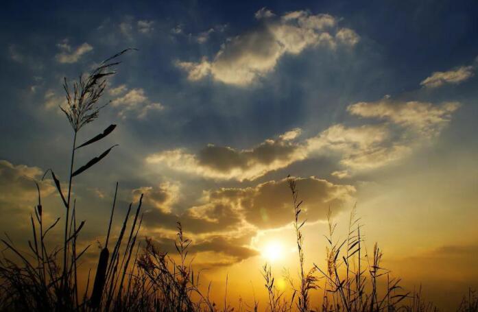 抖音的文案句子