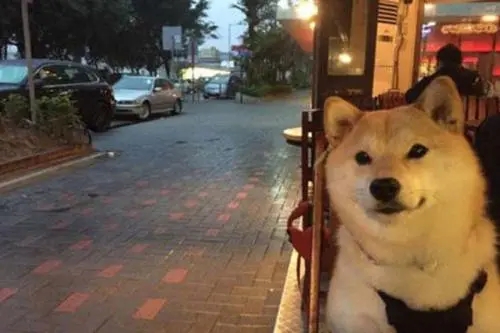 高品质单身女性朋友圈文案