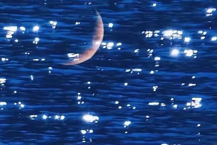 不想谈恋爱的搞笑文案