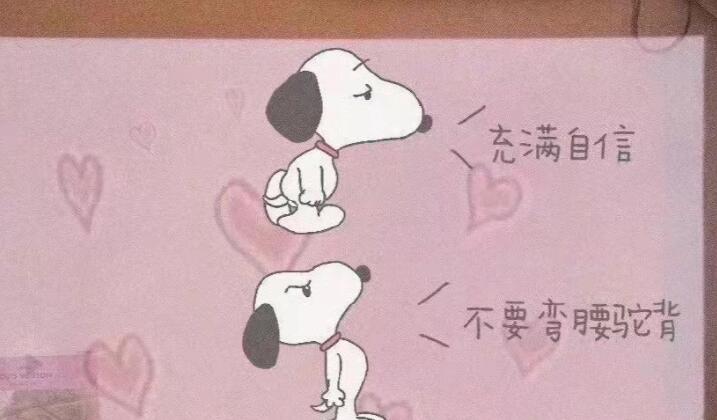 关于生活的高级文案