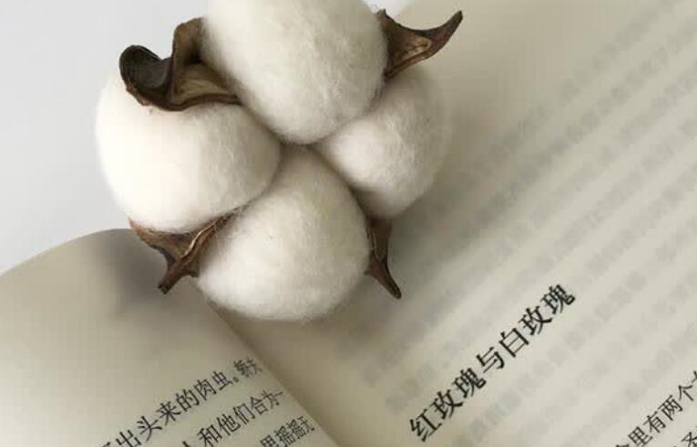 吸引人的从不是外表的文案