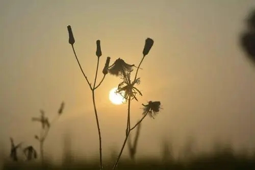 关于给自己成年的文案