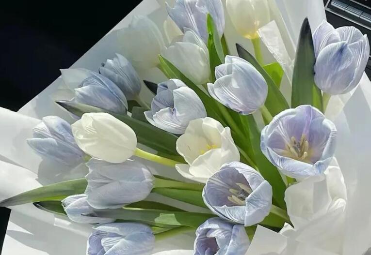 关于希望的文案