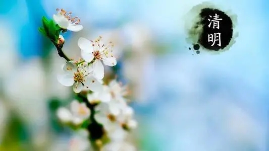 清明节旅游文案