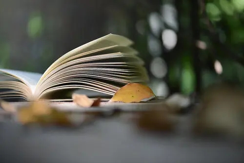 抖音高大上的文案