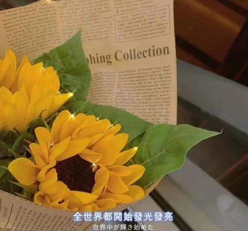 祝福学生的文案