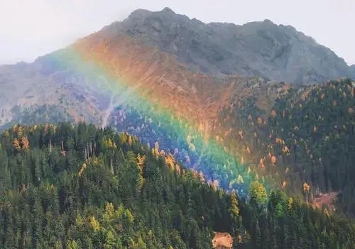 关于百分九少年的文案