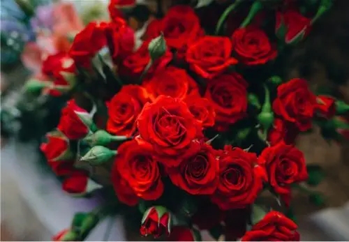 描写四季变化的文案