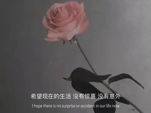 适合发视频的文案图片